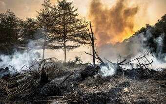 Оценка ущерба после стихийного бедствия в Барнауле: отчет оценщика